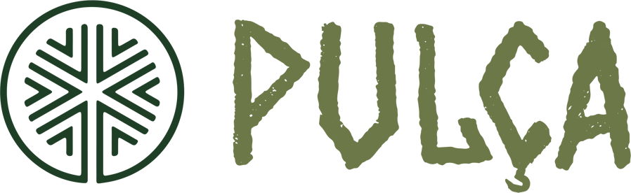 Pulça Turismo